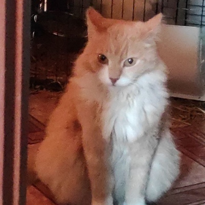 murzilko@techhub.social