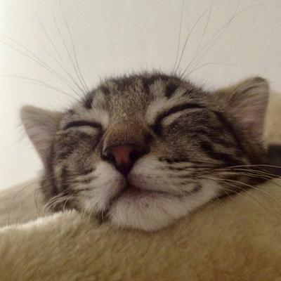 Morgunin@rollenspiel.social