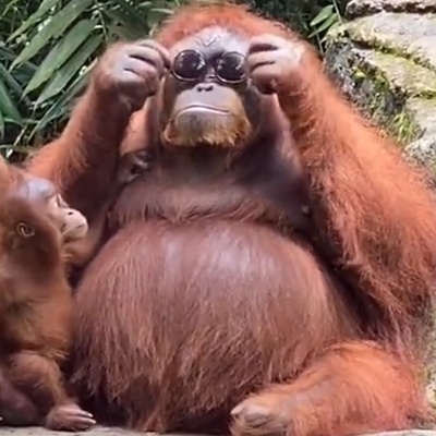 anduril@chaos.social