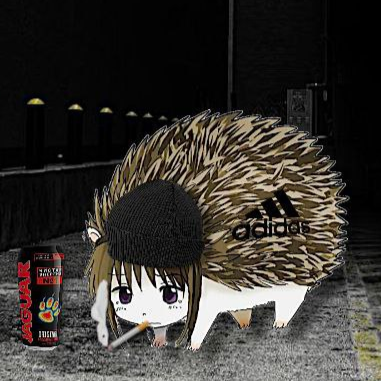 norchan@shitpost.poridge.club
