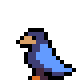 celeste_squawk