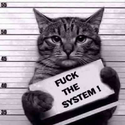 network_is_reliable@mastodon.social