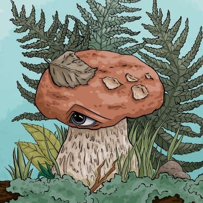 amanita_muscaria@mastodon.social